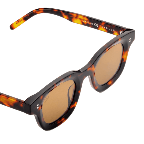 Apollo / Tortoise Acetate & Brown Lens - Shade Files